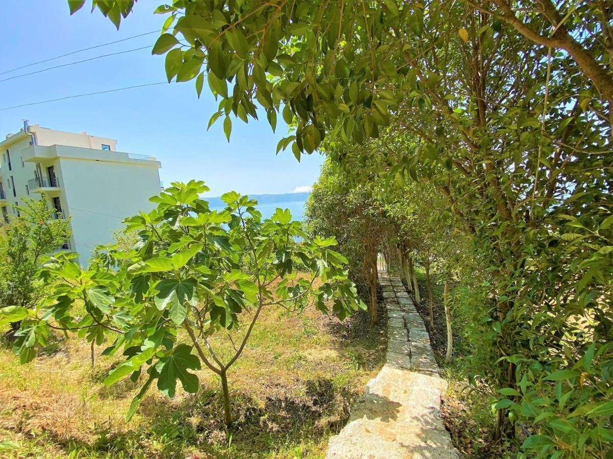 Ramo'S Cozy Beachside Haven With Panoramic Views - 2Nd Vlorë Eksteriør bilde